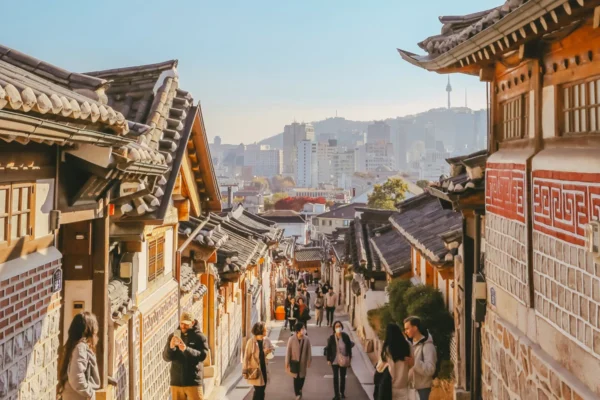 Wild Adventures Under the Beautiful Starry Sky